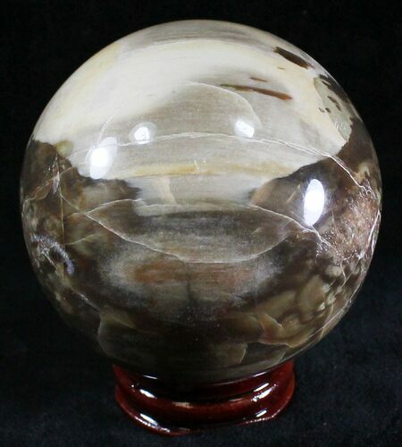 Colorful Petrified Wood Sphere #29009